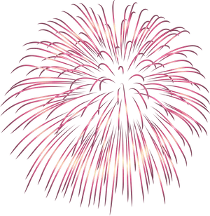 Pink Firework Explosion PNG image