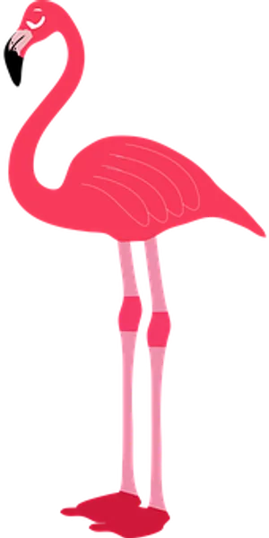 Pink Flamingo Cartoon Illustration