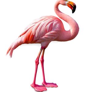 Pink Flamingo Icon PNG 93 PNG