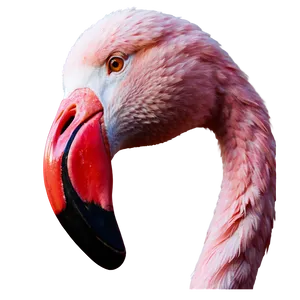 Pink Flamingo Icon Png 94 PNG image