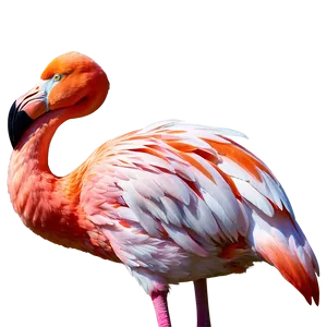 Pink Flamingo Icon PNG Dkb