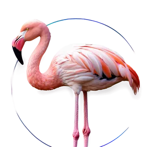 Pink Flamingo Icon PNG Wvt14