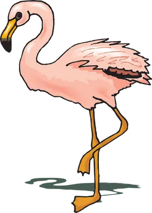 Pink Flamingo Illustration