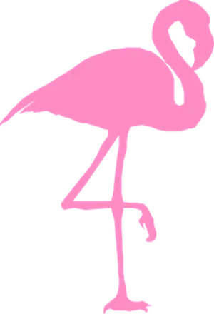 Pink Flamingo Silhouette PNG image