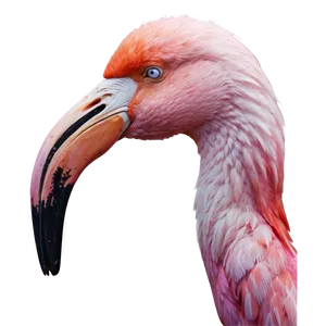 Pink Flamingo Sticker Png 05252024 PNG image