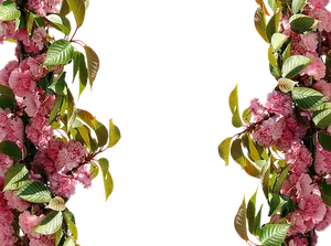 Pink Floral Borderon Black Background.jpg PNG