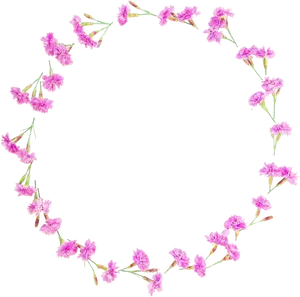 Pink Floral Round Frameon Black Background PNG image