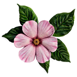 Pink Flower Blossom PNG Tqd40