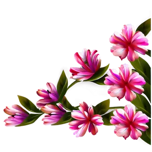 Pink Flower Border PNG Kax PNG