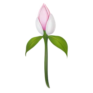 Pink Flower Bud PNG Tix