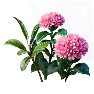 Pink Flower Bush Png 06122024 PNG image