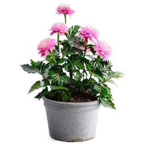 Pink Flower Bush Png 24 PNG image