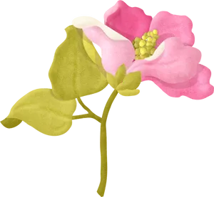 Pink Flower Illustration PNG image
