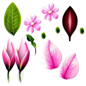 Pink Flower Petal Detail PNG Xee40