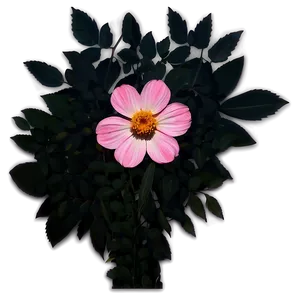 Pink Flower Silhouette PNG 71