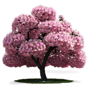 Pink Flower Tree Paradise PNG 06282024