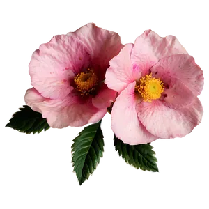Pink Flower Vintage PNG Gyf