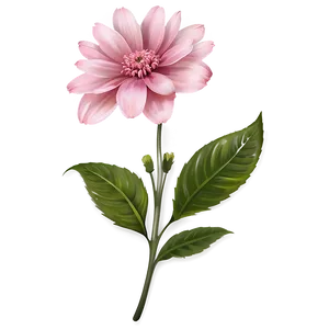 Pink Flower Vintage PNG Mgp36