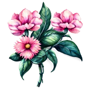 Pink Flower Watercolor PNG 05242024