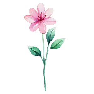 Pink Flower Watercolor PNG 05242024