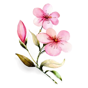 Pink Flower Watercolor PNG 52