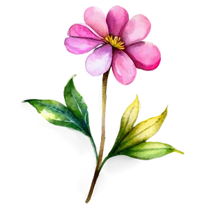 Pink Flower Watercolor Png Dis PNG image