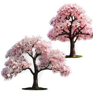 Pink Flowering Tree PNG 56
