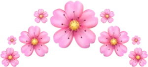 Pink_ Flowers_ Black_ Background PNG image