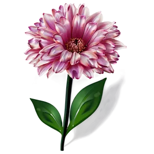 Pink Flowers Closeup Png 51 PNG image