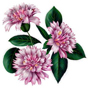 Pink Flowers Cluster Png 05242024 PNG image