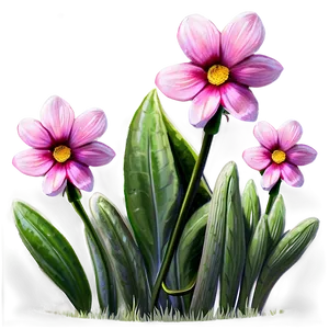 Pink Flowers Field PNG 05242024
