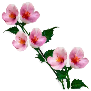 Pink Flowers Wallpaper Png 05242024 PNG image