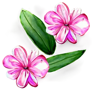 Pink Flowers Watercolor PNG Uul PNG