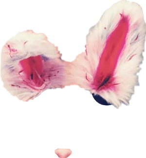 Pink Fluffy Bow Tie PNG image