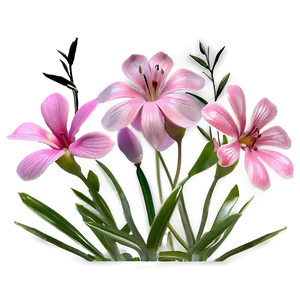 Pink Garden Flowers PNG Vvo PNG
