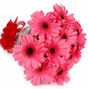 Pink Gerbera Daisy Bouquet PNG