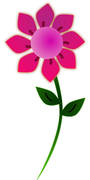 Pink Graphic Floweron Black Background