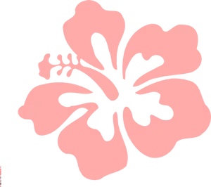 Pink Hibiscus Graphic PNG image