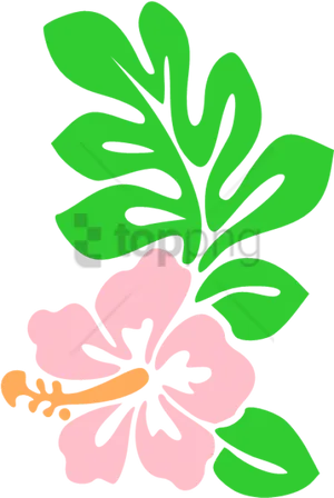 Pink Hibiscus Vector Illustration PNG image