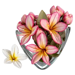 Pink Jasmine Fragrance PNG Lmx