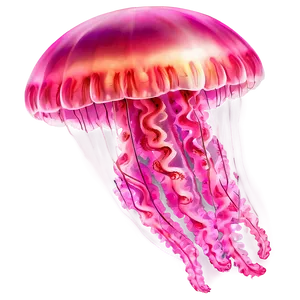 Pink Jellyfish PNG Xdc82