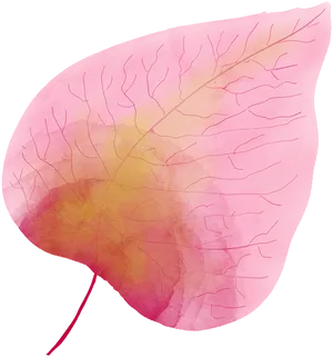 Pink Leaf Artistic Representation