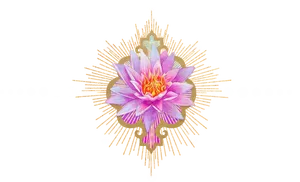 Pink Lotus Flower Artistic Design PNG image