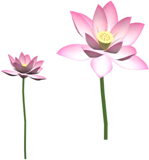 Pink Lotus Flowers Illustration PNG image