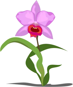 Pink Orchid Illustration PNG image