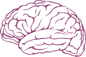 Pink Outline Brain Illustration PNG image