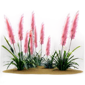 Pink Pampas Grass PNG 06122024 PNG