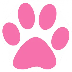 Pink Paw Print Graphic PNG image