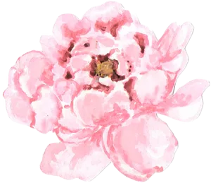 Pink Peony Watercolor Art PNG