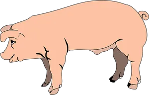 Pink Pig Cartoon Illustration
